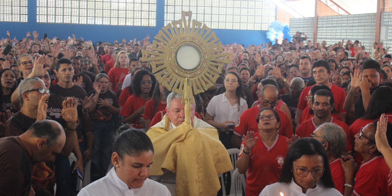 24538f65-7fcb-4c8f-ad0a-42e8f9af810d