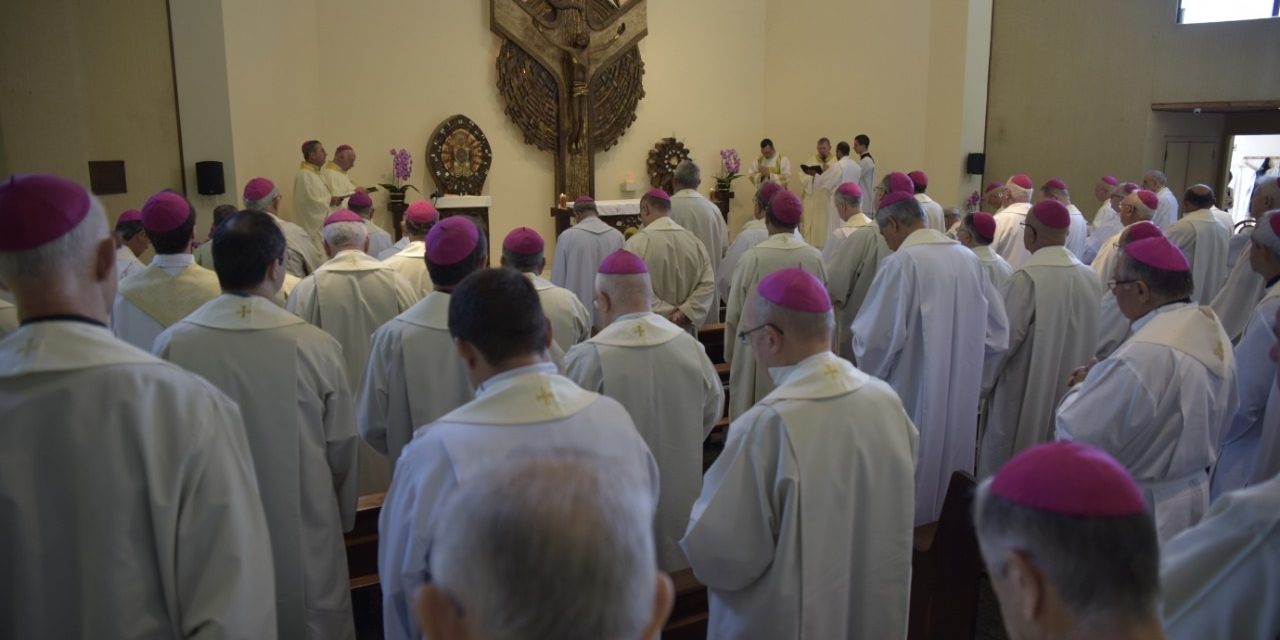 XXIX-Curso-Anual-para-os-Bispos-aprofunda-temas-sobre-formacao-presbiteral