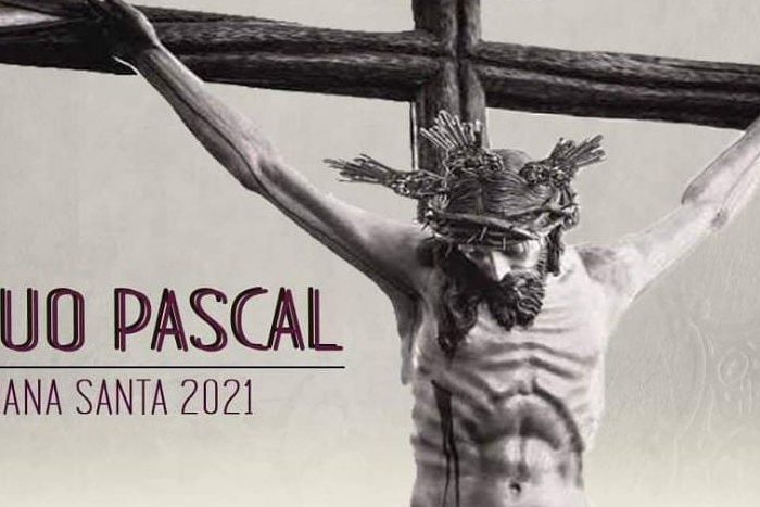 d75391f7-fc63-48e5-8261-7bec3508ddd1