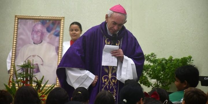 SaveClip.App_660483579_18316935436268965_2783888778234494725_n